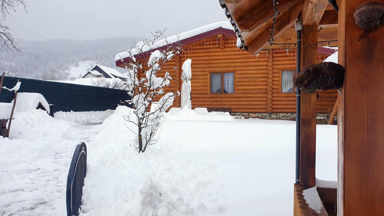 Cabana Alesia, Relaxare La Poalele Raraului Campulung Moldovenesc Exterior photo
